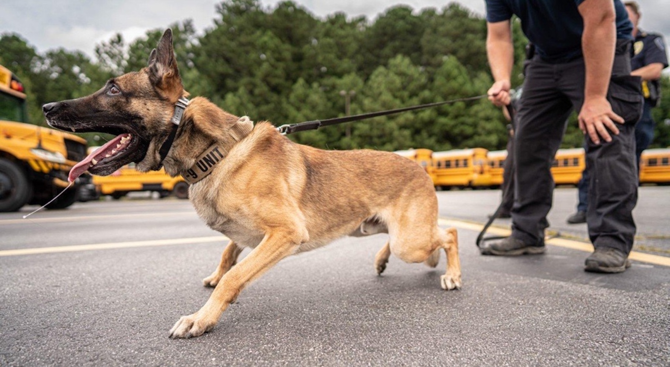 Track Location and Movement of K9 Officers in Any Environment